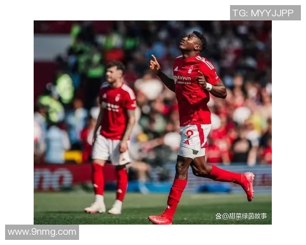 2018年诺维奇对阵诺丁汉森林精彩回顾与赛季分析